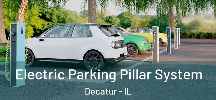  Electric Parking Pillar System Decatur - IL