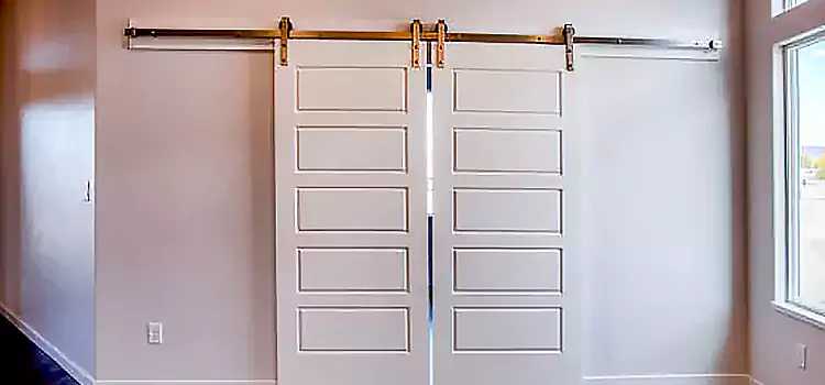 Glass Barn Door with Installation Hardware Kit Decatur