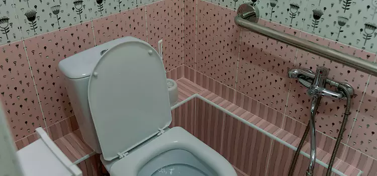 Meeting Diverse Needs With Accessible Restroom Solutions in Decatur, IL